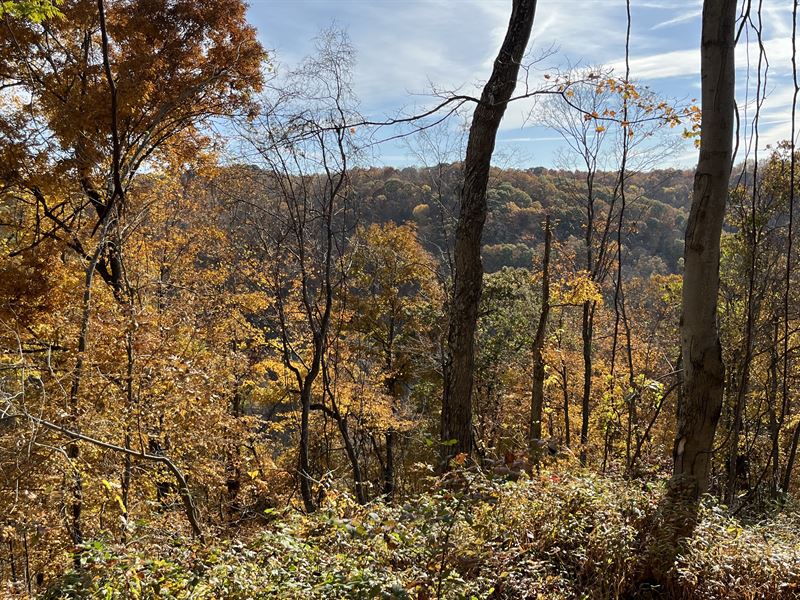 Hunting Property for Sale in Ohio, Farm for Sale in Ohio, 361733