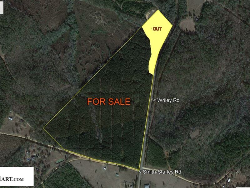 Marketable Pines & Long Road Fronta : McIntyre : Wilkinson County : Georgia