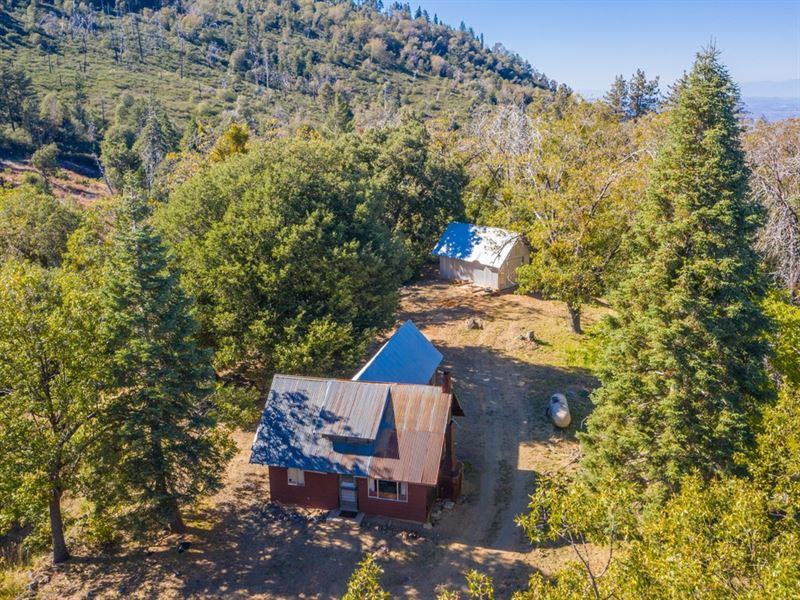 Palomar Divide Truck Trail Acreage, Farm for Sale in California