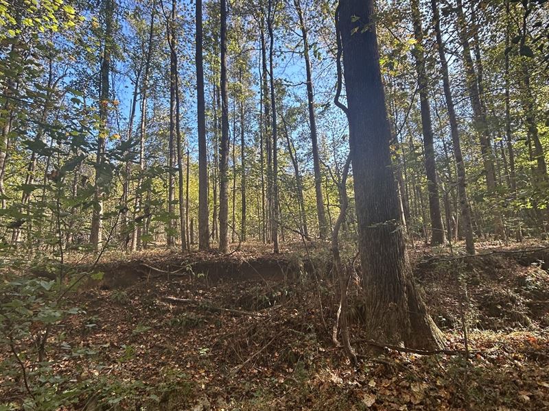 Quiet, Country Homesite : Thomaston : Upson County : Georgia