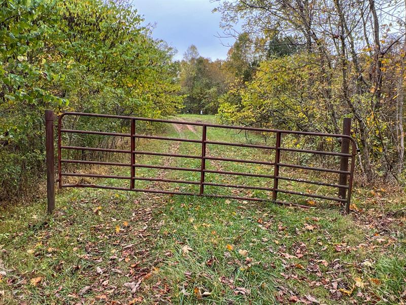 Carter Rd, 57 Acres, Athens Count : Guysville : Athens County : Ohio