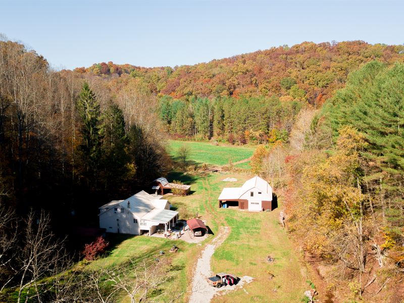Vinton County, Ohio Land for Sale : Wilkesville : Vinton County : Ohio
