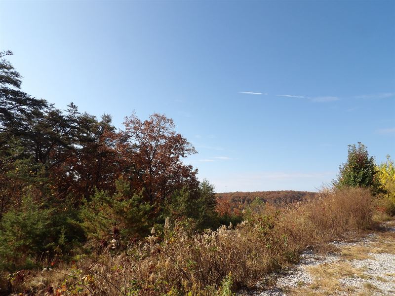 Rd Frontage, Creek, no Restrictions : Graysville : Bledsoe County : Tennessee
