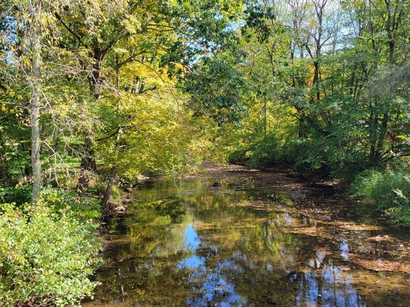 33.52 Acres in Grayson County, VA, Farm for Sale by Owner in Virginia