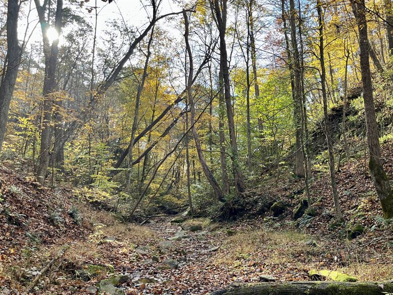 Hunting Property for Sale in Ohio, Farm for Sale in Ohio, 362014