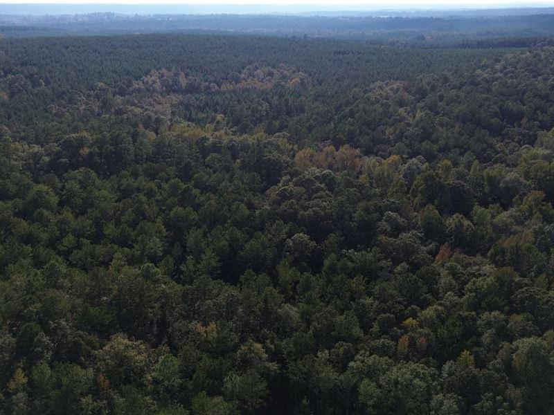 6.54 Acres in Baldwin County, GA, Farm for Sale by Owner in