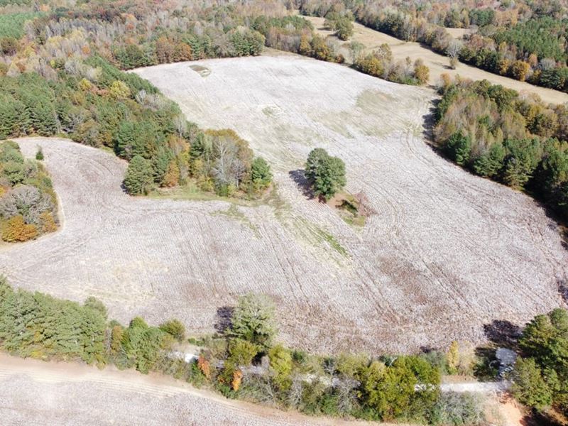 20 Ac. Lawrence County Homesite : Moulton : Lawrence County : Alabama