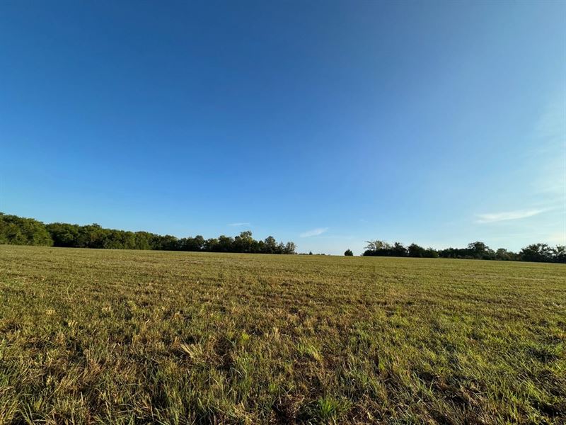 Pike Road Homesite, Farm for Sale in Alabama, 362068 FARMFLIP
