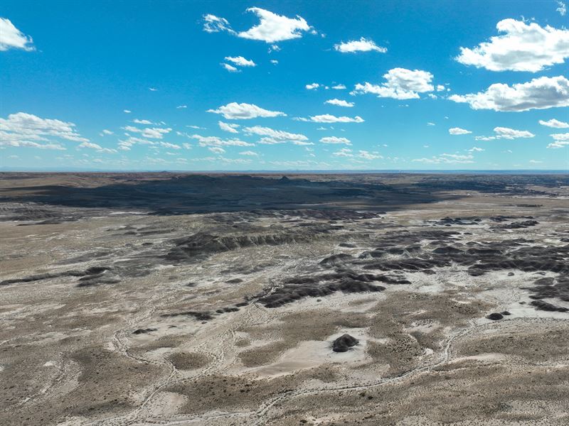 Off-Grid Living and Investment : Joseph City : Navajo County : Arizona