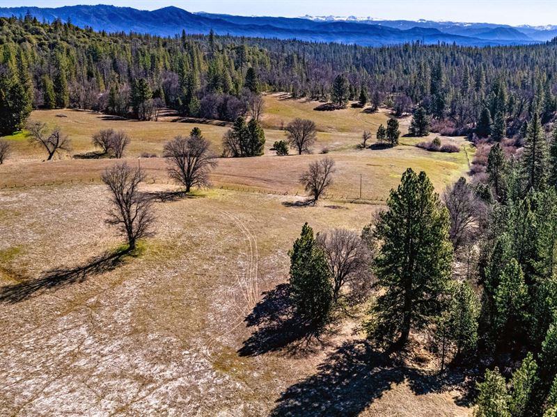 Greeley Hill Ranch, Parcel : Greeley Hill : Mariposa County : California