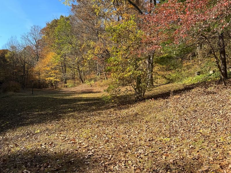 113 Acres Pulaski County, KY, Farm for Sale in Kentucky, 362311 FARMFLIP