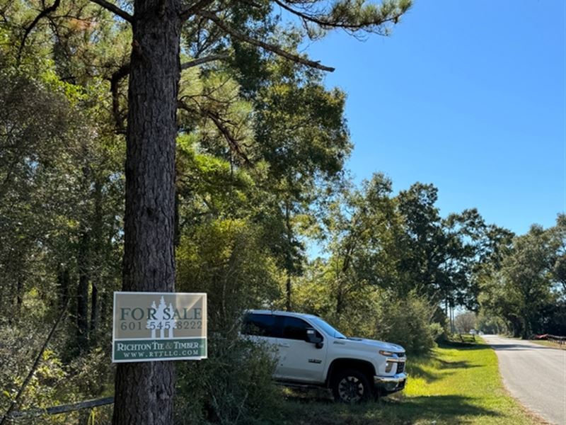 Henry Eubanks Road : Lucedale : George County : Mississippi