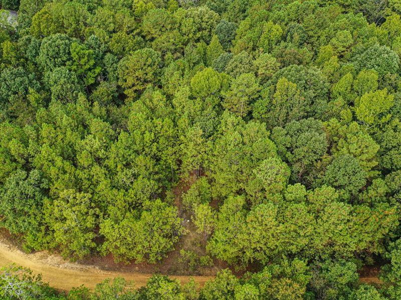 5 Acres Pleasant Grove Road Carthag, Farm for Sale in Mississippi