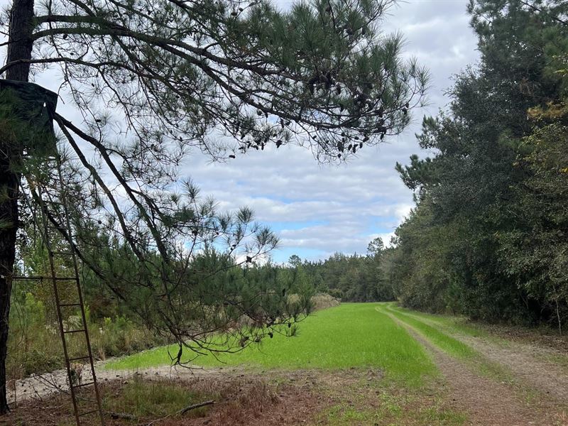 Little Bull Creek Hunting & Timber, Farm for Sale in 362371