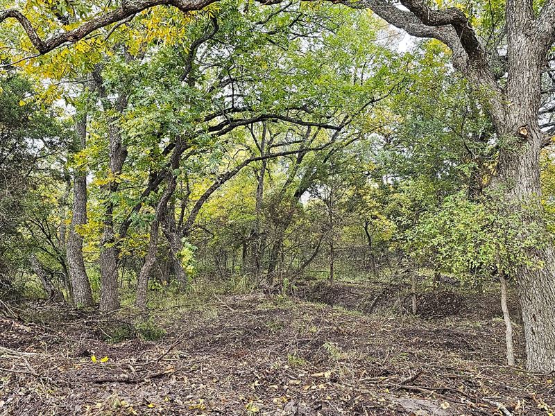 10 Acres in Lampasas : Lampasas : Lampasas County : Texas