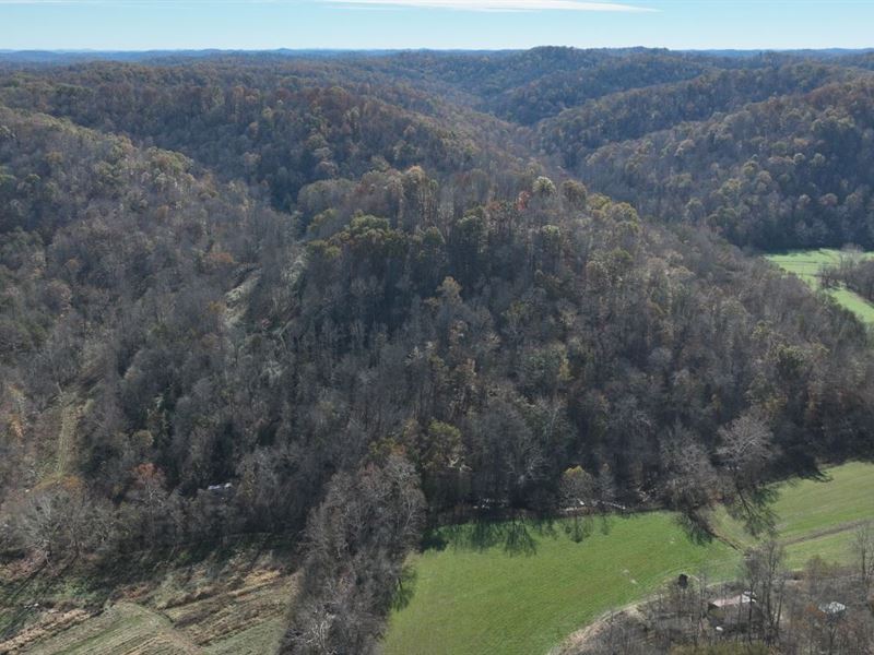 36.2 Acres in Putnam County, WV : Hurricane : Putnam County : West Virginia