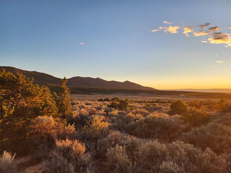 Serene Mountain Retreat with Views : Fort Garland : Costilla County : Colorado