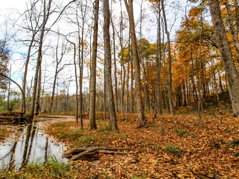 Waymor Rd, 22 Acres, Guernsey Cou : Quaker City : Guernsey County : Ohio