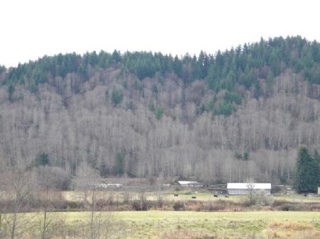 Farmland On The Chehalis River : Elma : Grays Harbor County : Washington