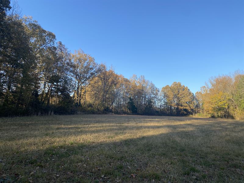 Land For Sale In Flintville Tn