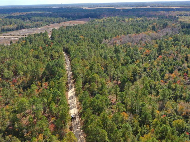 18.53 Acres in Bladen County, NC, Farm for Sale by Owner in North