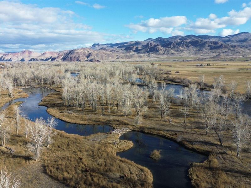182 Acre Salmon River Ownership : Challis : Custer County : Idaho