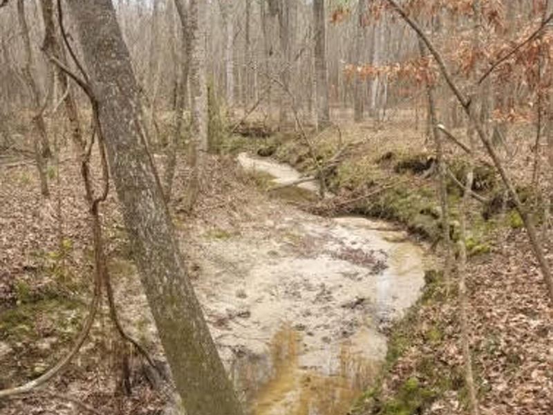 Hooks Road : Pittsview : Russell County : Alabama