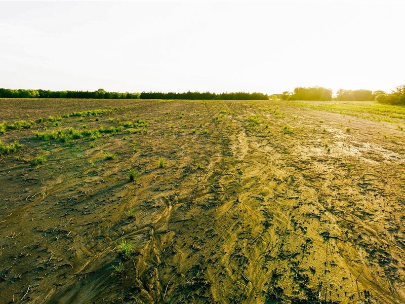Development Land Clarksville, TX : Clarksville : Red River County : Texas