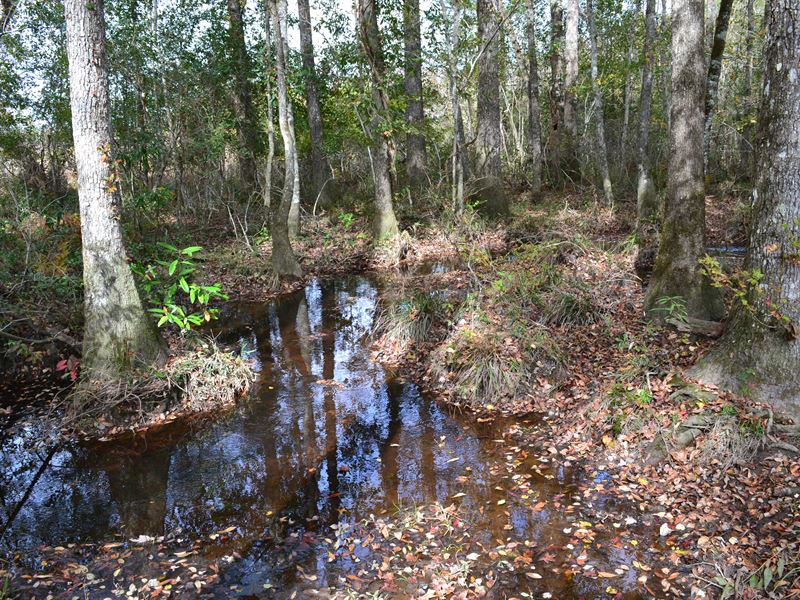 Ochwalkee Creek, Tract A : Dublin : Laurens County : Georgia