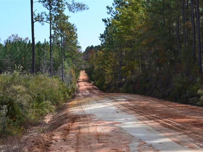 Ochwalkee Creek, Tract B : Dublin : Laurens County : Georgia