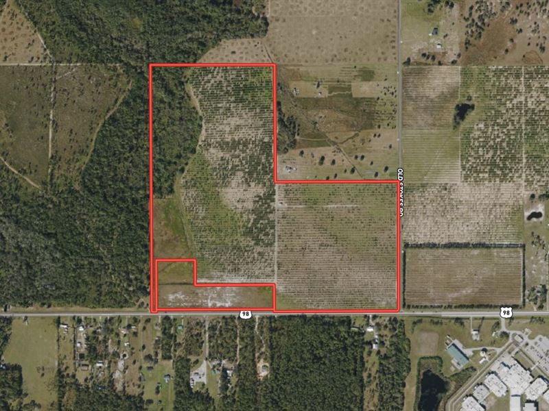 120 Acre Grove Hwy 98 Frostproof : Frostproof : Polk County : Florida