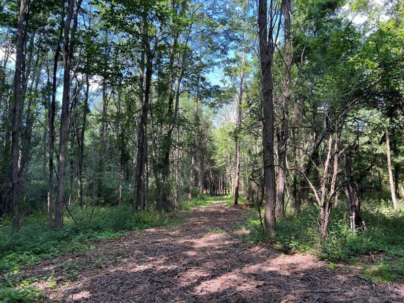 Country Land Sale Hudson Valley : Hannacroix : Greene County : New York