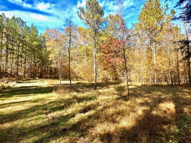 Ideal Small Acreage Offgrid Farm : Crawfordville : Taliaferro County : Georgia