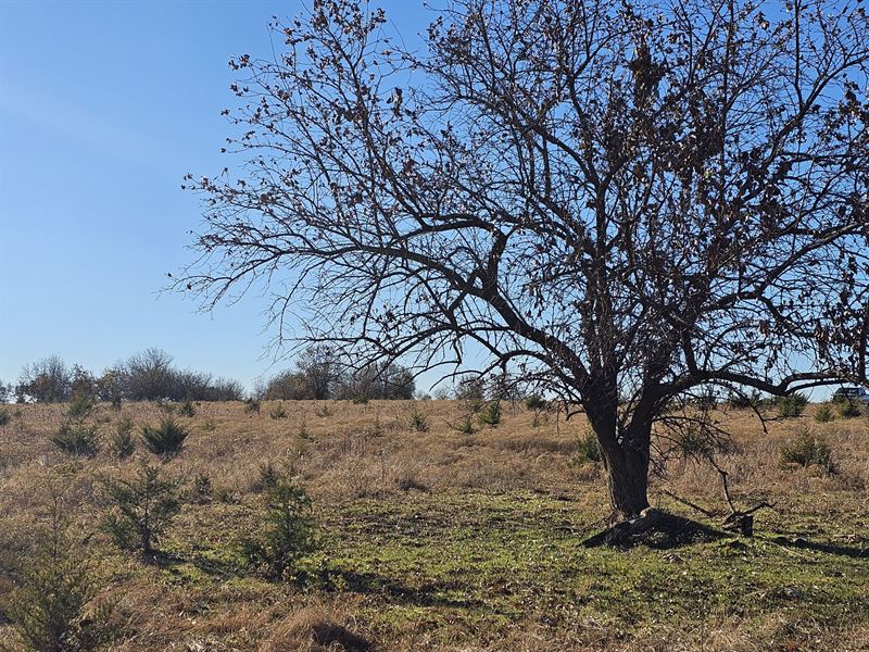 Towanda, 40 Acre Lot : Towanda : Butler County : Kansas