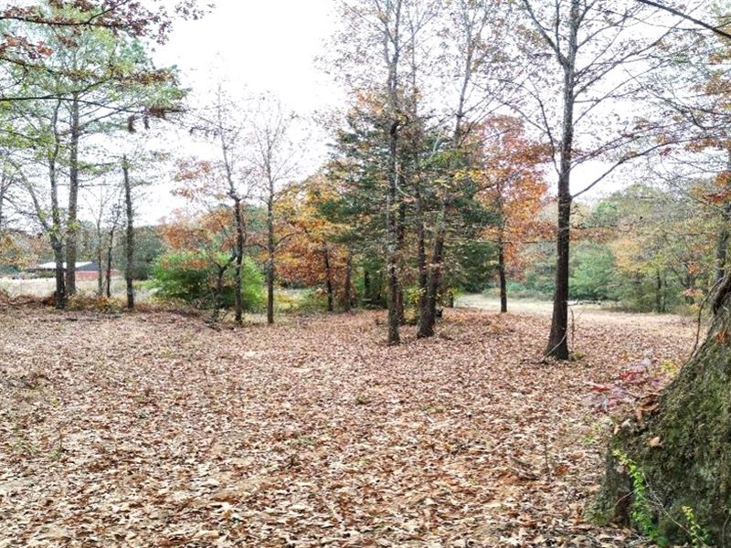25.5 Acres in Monroe County in Hami : Hamilton : Monroe County : Mississippi