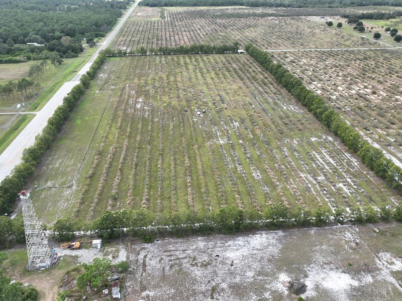 Frostproof Orchard, Farm for Sale in Florida, 363052 FARMFLIP