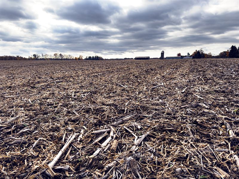 Hillsdale County, MI Land Auction, Farm Auction in Michigan, 363068