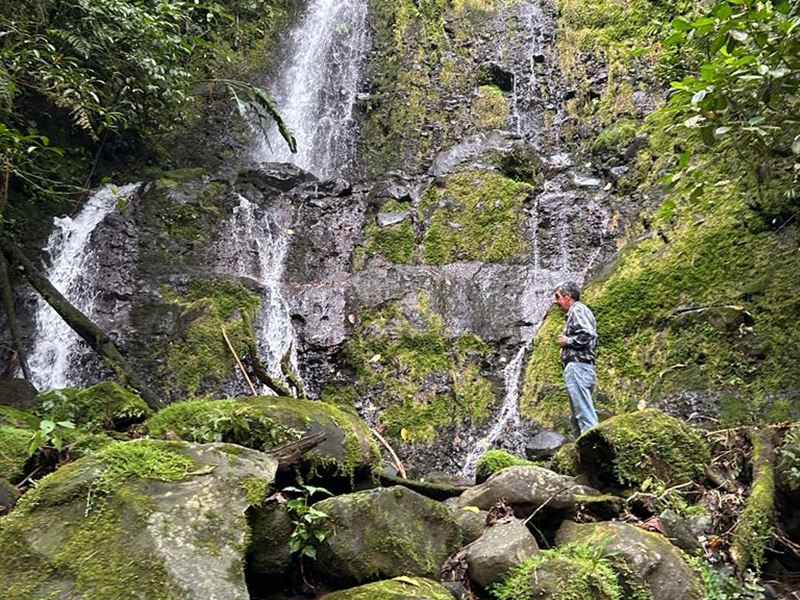 Beautiful Estate OF Great Beauty : La Suiza : Costa Rica