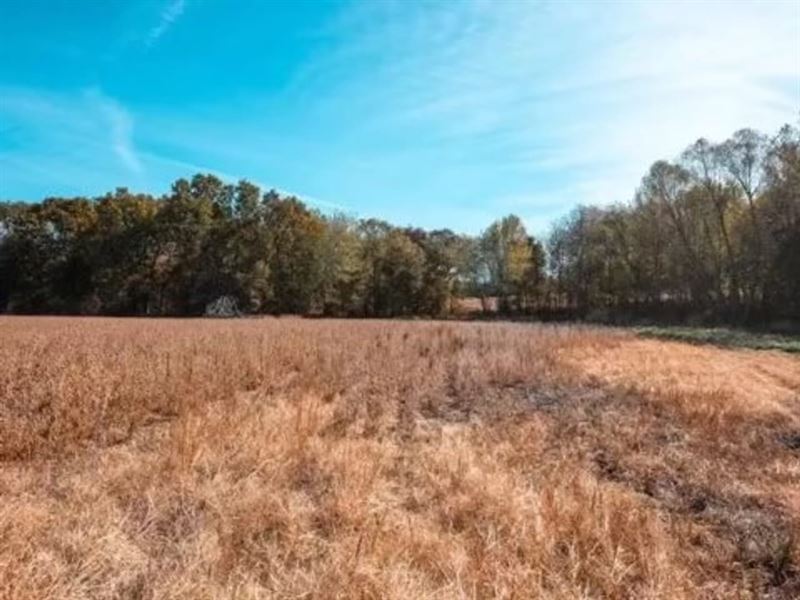 Farm & Hunt 70 : La Plata : Adair County : Missouri