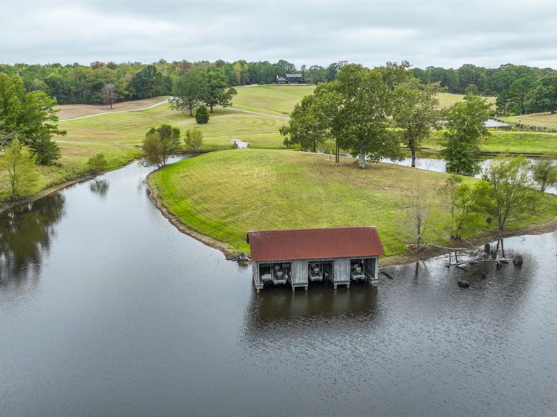 Rock Mountain Farms : McCalla : Jefferson County : Alabama