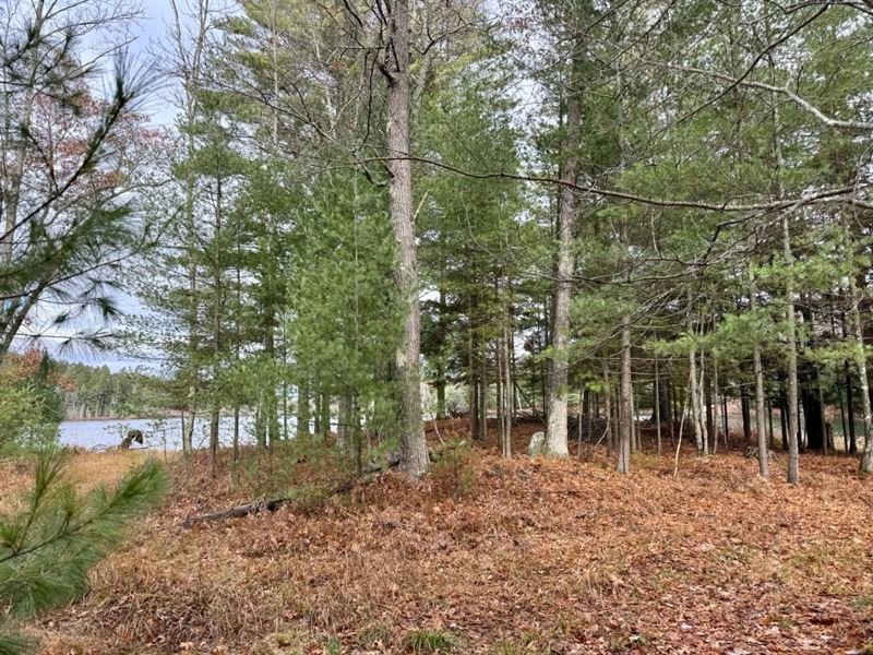 Papkee Lake Home and Acreage : Minocqua : Oneida County : Wisconsin