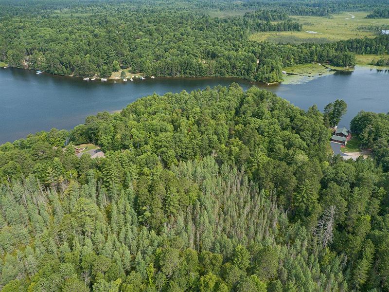Conover 5 AC Lot : Conover : Vilas County : Wisconsin