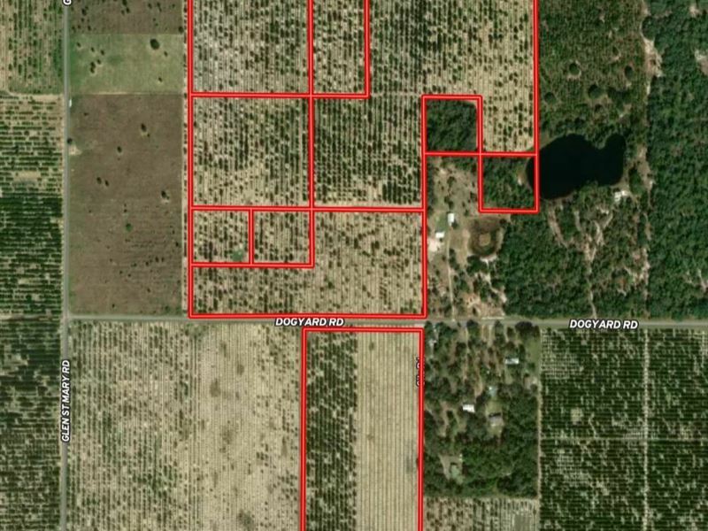 101 AC Grove Dogyard RD : Lake Wales : Polk County : Florida