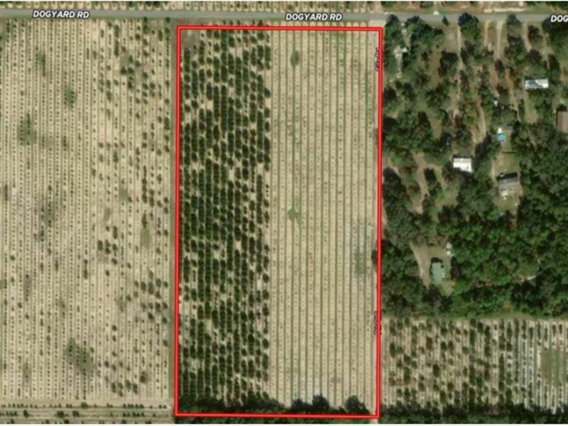 21 Acres Dogyard Road : Lake Wales : Polk County : Florida