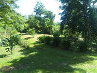 Beautiful Ecological Farm : Turrubares : Costa Rica