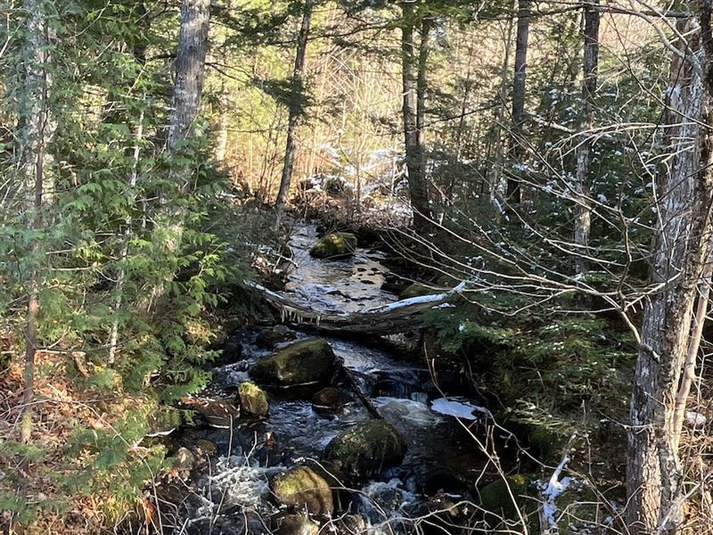 Lakeville, Lots 3,4,5 Homestead Dr : Lakeville : Penobscot County : Maine