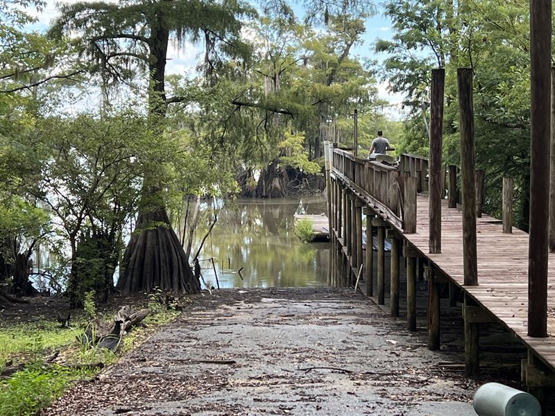 Dead Lakes Tract, Gulf County : Wewahitchka : Gulf County : Florida