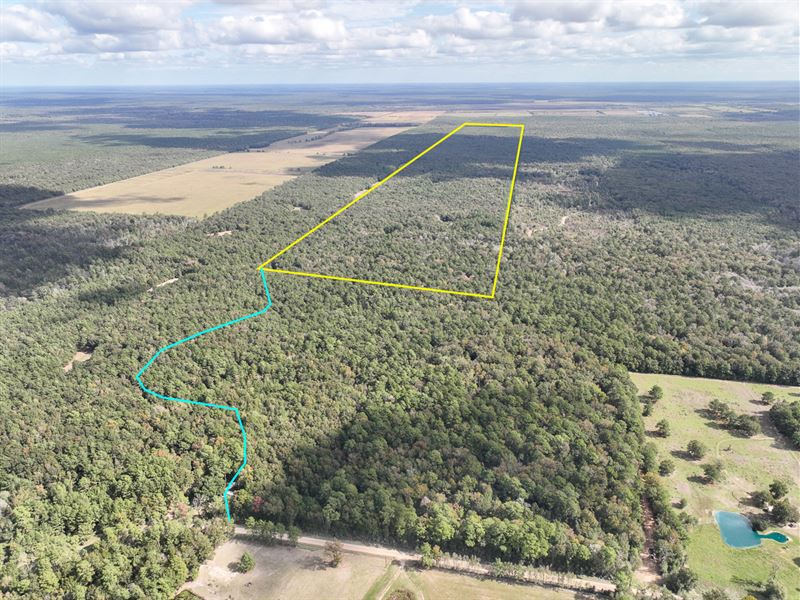 728 Acres Off Garcia Road : Batson : Hardin County : Texas