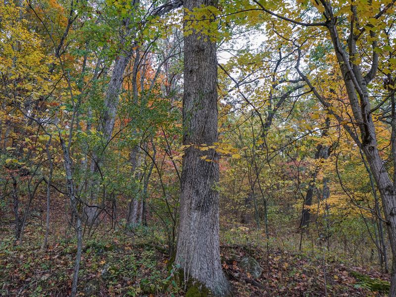 Bulaville Pike 20 : Gallipolis : Gallia County : Ohio
