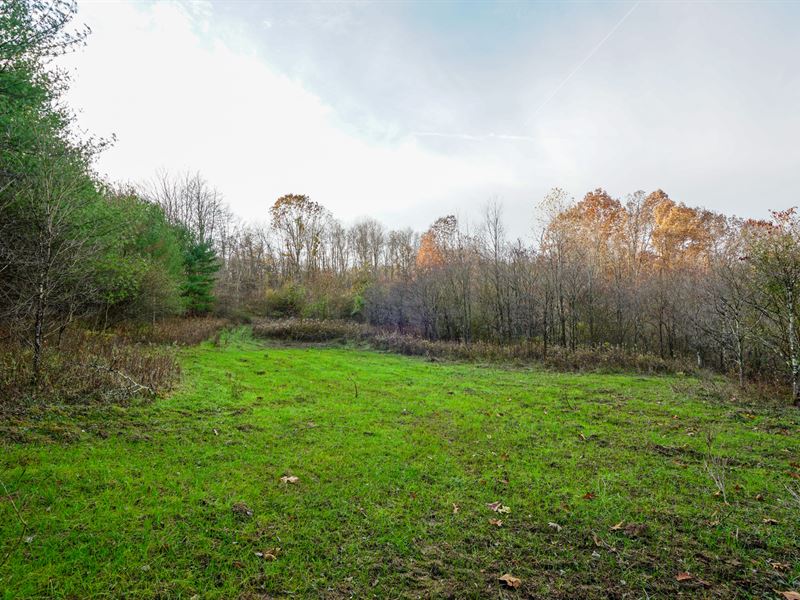 Boy Scout Camp Rd 76 : Caldwell : Noble County : Ohio